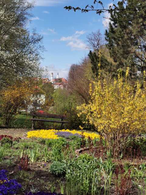Blick vom bepflanzten Rondell Friedenshain auf Stadt 1 (c) Stadt Löbau
